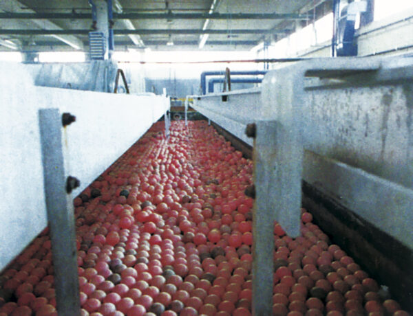 Boules Plastiques Creuses Pour La Couverture Des Surfaces Liquides 600x460